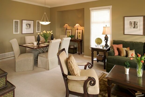 Carpet Shampoo Basics