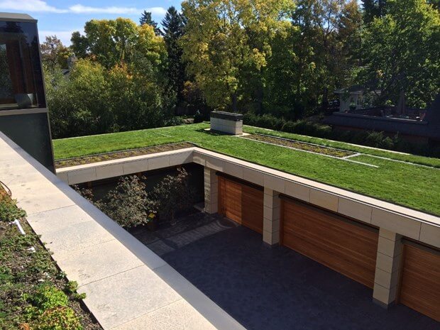 What Is A Green Roof?