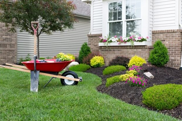 7 Mistakes Every New Homeowner Makes In Their Yard