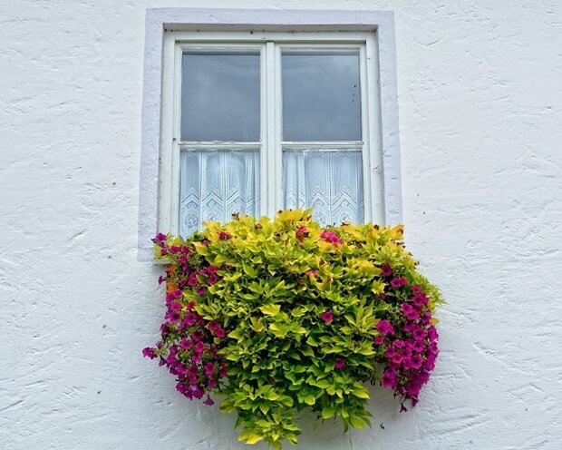 6 Hanging Flower Pot Plant Ideas