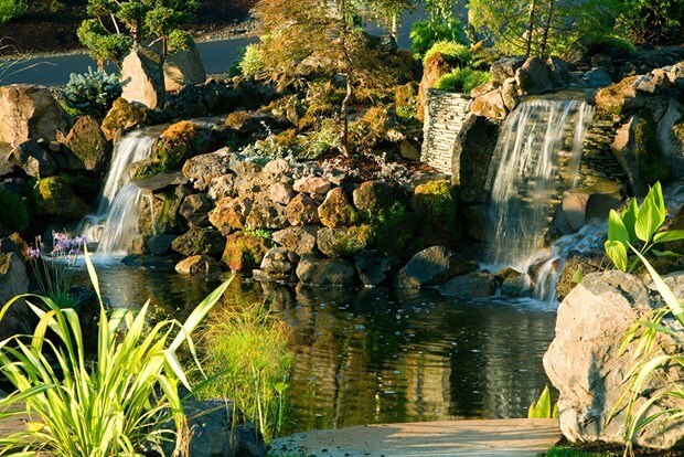 7 Landscape Designs That Will Make Your Neighbors Jealous