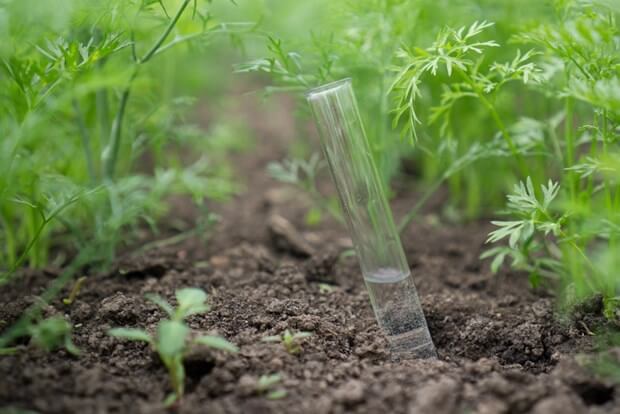 Lost Your Green Thumb? Consider Soil Testing