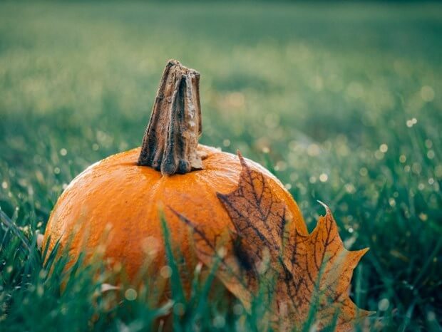 Spice Up Your Fall Home Décor With Pumpkins