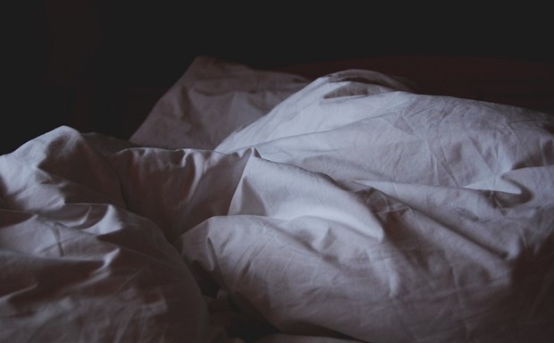 How To Kill Bed Bugs