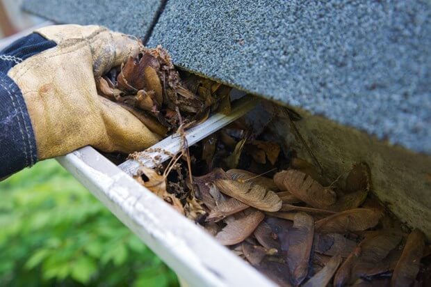 How To Clean Your Gutter