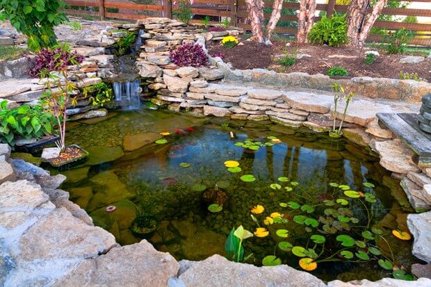 Top 5 Ways Landscaping Can Lower Your Energy Bill In The Summer