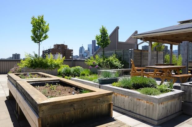 Getting Started On A Rooftop Garden