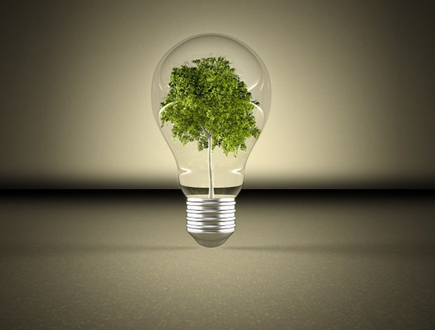 Going Green: How To Make The Switch Over