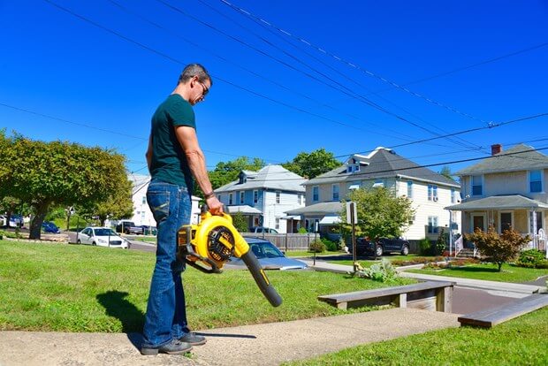 Should You Buy A Cordless Leaf Blower?