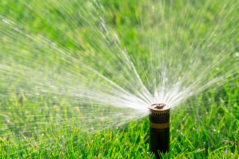 2017 reseeding lawn costs cost of grass seed lawn seeding 2017 reseeding lawn costs cost of grass seed lawn seeding